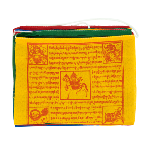 AT_02905.png AT_02905.png